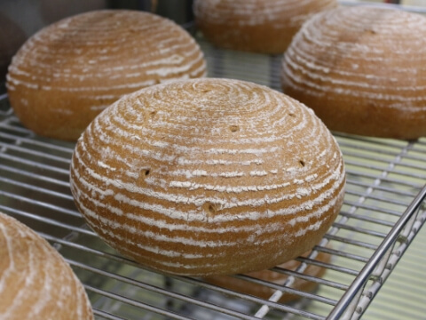 陳列されている出来立てのライ麦パン